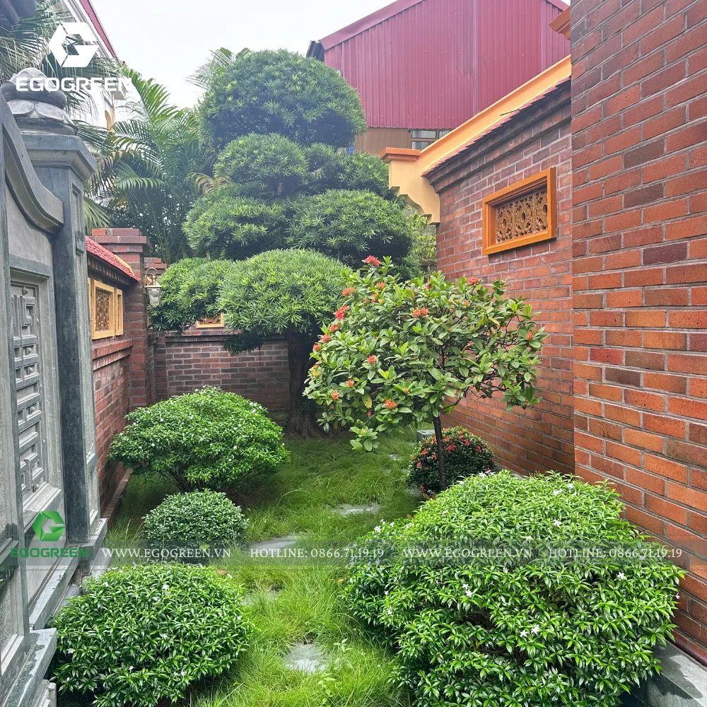 Xu hướng gần gũi cây xanh, thiên nhiên đang được cả thế giới đón nhận.